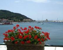 Per la minoranza marinese "I cittadini snobbano ESA e Amministrazione"