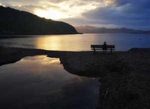 La Foto del Giorno (28 gen.)