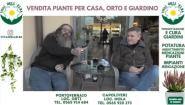 Edicola Elbana 29 Gennaio - Riunione del Centro storico per una città più sicura e curata
