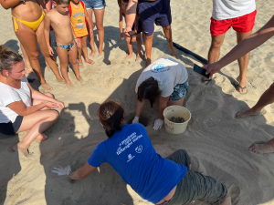 Anche gli assistenti ai bagnanti &quot;arruolati&quot; a guardia delle nidificazioni delle tartarughe marine