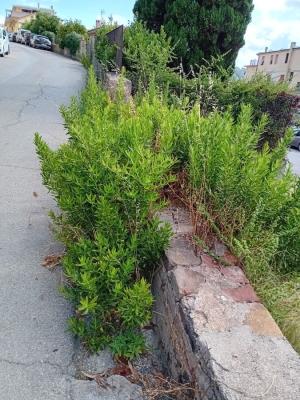 Degrado ferajese  di una prima periferia trascurata