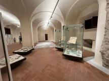 Natale nei Musei elbani: aperture straordinarie ed eventi per tutte le età