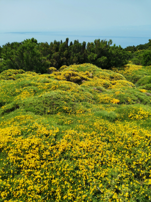 La Foto del Giorno (23 mag.)