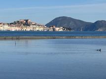 La Foto del Giorno (2 gen.)