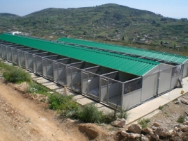 Animal Project chiede la convocazione della Consulta dei Sindaci per il canile/gattile comprensoriale