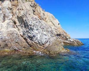 Togliere le cime abbandonate sulla scogliera dell’Enfola