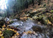 Video: scorrere d'acque elbane