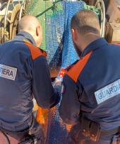Chiuso ristorante e sequestrato pesce avariato: l'operazione “Etrurian Fish” arriva anche all’Elba