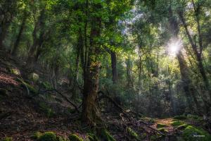 La Foto del Giorno (14 sett.)