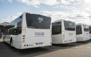 All&#039;Elba niente bus per carenza di autisti, Autolinee Toscane faccia contratti estivi urgenti