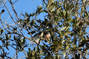 La Foto del Giorno (20 feb.)