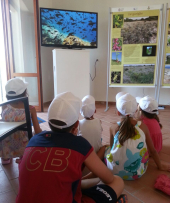 Proroga al 9 giugno del Bando #IoSonoAmbiente, finanziamenti per studenti di ogni ordine e grado