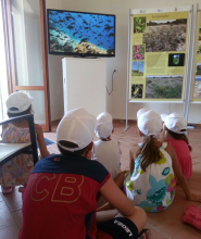 Proroga al 9 giugno del Bando #IoSonoAmbiente, finanziamenti per studenti di ogni ordine e grado