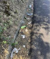 Un abbandono di rifiuti lesivo dell'immagine dell'Elba