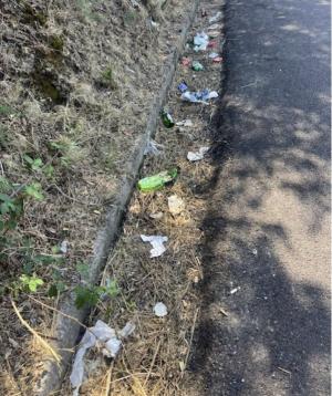 Un abbandono di rifiuti lesivo dell&#039;immagine dell&#039;Elba