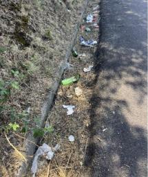 Un abbandono di rifiuti lesivo dell'immagine dell'Elba