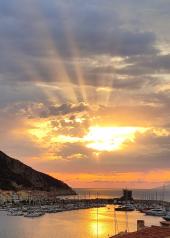 La Foto del Giorno (29 giu.)