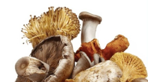 Funghi-medicinali a supporto delle terapie oncologiche. Un incontro con il Soroptimist Elba