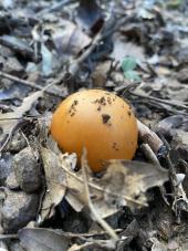 La Foto del Giorno (27 sett.)