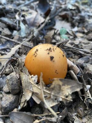 La Foto del Giorno (27 sett.)