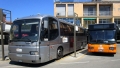 Il Forum Giovanile dell'Arcipelago avanza richieste e chiede impegni per il miglioramento dei trasporti pubblici