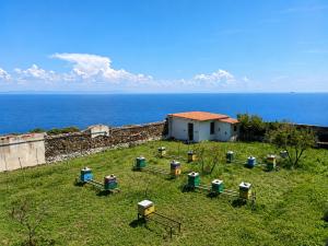Gorgona diventa laboratorio unico di biodiversità e inclusione sociale