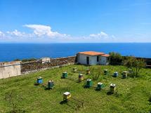 Gorgona diventa laboratorio unico di biodiversità e inclusione sociale