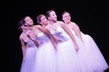 Elba Danza trionfa a Danza in Fiera 20^ edizione: premi e riconoscimenti per le allieve