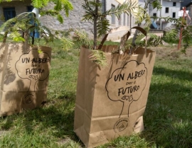 Due istituti scolastici elbani coinvolti nel progetto “Un Albero per il Futuro”