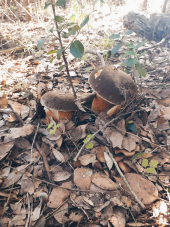 La Foto del Giorno (3 nov.)