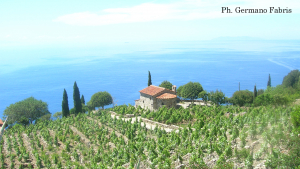 La Foto del Giorno (5 ago)