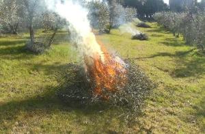 Rischio incendi, la Regione Toscana proroga il divieto di abbruciamenti fino al 13 settembre