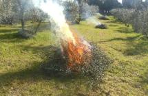 Rischio incendi, la Regione Toscana proroga il divieto di abbruciamenti fino al 13 settembre