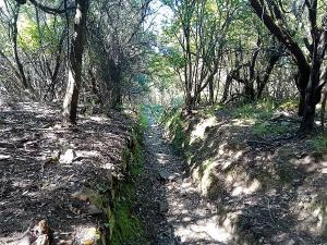 Legambiente “riapre” il sentiero 181 San Giovanni - Zuffale - Lavacchio