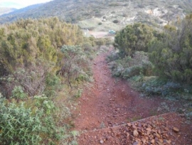 Motocross nel Parco: il Tribunale conferma le sanzioni amministrative