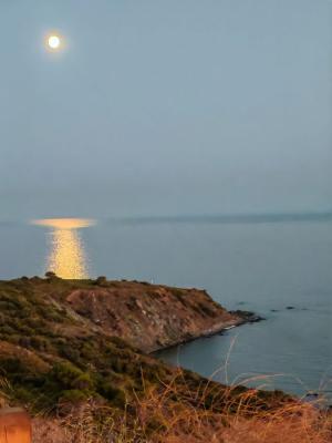 La Foto del Giorno (8 ago.)