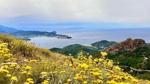 La Foto del Giorno (2 lug.)