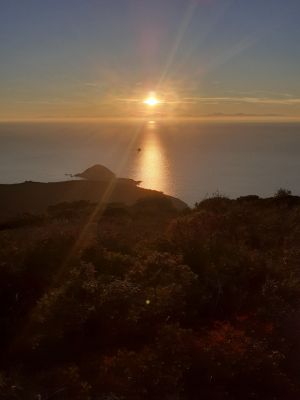 La Foto del Giorno (22 feb.)