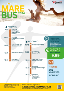 Raggiungere l'Elba non è poi così difficile, le "soluzioni" di Federalberghi Confcommercio