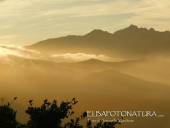 La Foto del Giorno (6 dic.)