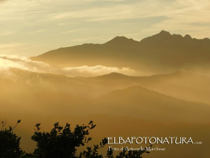 La Foto del Giorno (6 dic.)