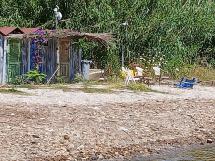 Ma davvero la spiaggia di Mola può essere dichiarata una Dog Beach?