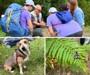 In tanti sul sentiero delle Farfalle nella 16^ edizione della festa entomologica