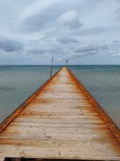 La Foto del Giorno (17 mar.)