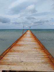 La Foto del Giorno (17 mar.)