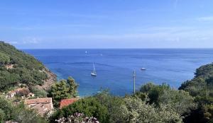 La Foto del Giorno (3 ago.)