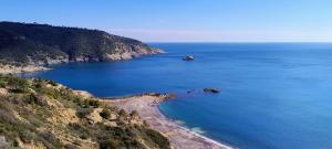 La Foto del Giorno (4 ott.)