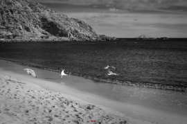 La Foto del Giorno (22 apr.)