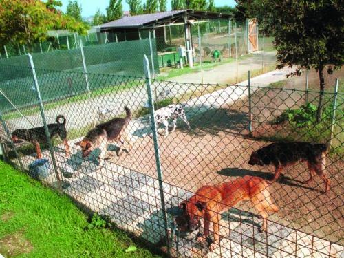 Seicentomila euro al Comune di Capoliveri per il canile comprensoriale dell’Elba