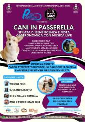 Cani in passerella, la sfilata di Let's Dog in occasione della festa internazionale del cane